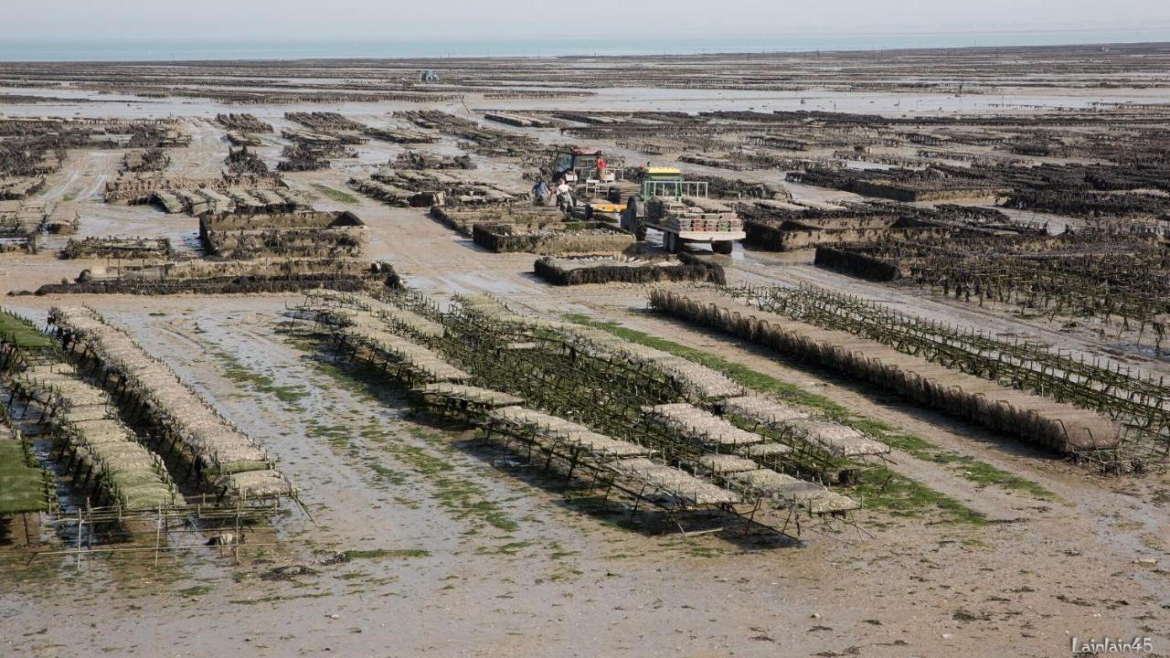 Petit Chatelet Bis Hirel Eksteriør bilde